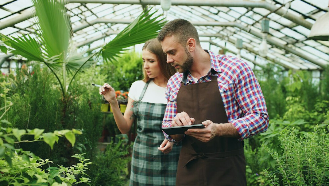 professional experts team